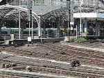 Die zusammengekoppelten ICE  Recklinghausen  und  Schaffhausen  verlassen den HBF Kln. Die Spiegelung in den Scheiben des ICE erweckt den Eindruck, dass sich das auf dem Platz vor der Hohenzollenbrcke befindliche Reiterdenkmal pltzlich in Bewegung setzt. Aufgenommen am 08/09/2008. 