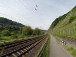Deutschland, Rheinland-Pfalz, zwischen Kobern-Gondorf und Winningen.