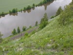 Main-Spessart-Bahn am Mainufer zwischen Karlstadt und Gemünden aus der  Modellbahn-Perspektive . So kommen die Pkw flott voran !.__31-05-2019
