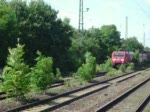 Eine 189 mit gemischten Gterzug durch Magdeburg - Buckau am 08.08.2008 