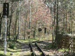 Zug der Berliner Parkeisenbahn kurz vor der Station Badesee.