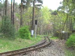 Langsam wird es auch wieder etwas grn. Das schne Wetter zog heute viele Familien in die Wuhlheide, in der es insbesondere fr Kinder immer ein groes Freizeitangebot gibt. Die Fahrt mit der Parkeisenbahn, wie hier zu sehen, gehrt dazu. 27.4.2008