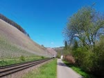 Deutschland, Rheinland-Pfalz, Kanzem an der Saar, zwei Süwex Flirt auf dem Weg nach Trier und Koblenz.