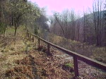 Der 2. Brockenzug an diesem Tag ist hier an einem Waldweg in der Kurve vor dem Tunnel der HSB zu sehen. 3.April 2007 10:49