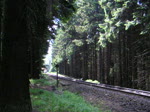 Die Brockenbahn kurz hinter dem Bahnhof Schierke zur weiterfahrt auf den Brocken (Datum 23.06.2010) 