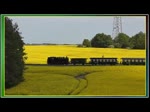 Beim Bahnhofsfest in Putbus gab es auf dem Schmalspurbahnhof die üblichen Zug- und Rangierfahrten mit Dampf und Diesel.