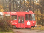 Auffahrt des Tw 136 am 08.11.08 aus der Wendeschleife Sportzentrum 