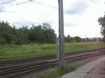 Straenbahnlinie 15 nach Meusdorf an der Haltestelle Miltitz.(25.8.2010)