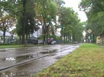 Tw 60 der Straenbahn in Frankfurt (Oder), Baujahr 1936 in Wismar, am 29.8.2010 zu Gast in Schneiche anlsslich der Feier zum 100-jhrigen Bestehen der Schneicher-Rdersdorfer Straenbahn.