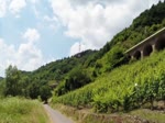 Deutschland, Rheinland-Pfalz, ein ET 442 auf dem Pündericher Hangviadukt auf der Fahrt von Trier nach Koblenz. Kurz vor seiner Einfahrt in den Prinzenkopf Tunnel kreuzt er eine BR 143 mit ihren Dostos. Leider erlaubte die Perspektive nur den oberen Teil der Dostos zu filmen. Rechts, im Hintergrund, das Südwestportal des 459 Meter langen Prinzenkopf Tunnels. 24.06.2014