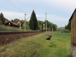 243 972 und 243 864 (DeltaRail) fuhren am 23.05.20 von Nürnberg nach Frankfurt/Oder.