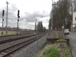 VT 02B von der VGB bei der Einfahrt durch den Bahnhof Gößnitz weiter geht die Reise laut Zugzielanzeiger nach Gera Hbf.