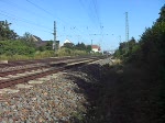 1116 237 der ITL zieht am 27.07.09 einen Güterzug durch Priestewitz Richtung Riesa.