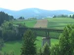 Zwei Regioshuttle der Waldbahn von Plattling nach Bayerisch Eisenstein am 03.08.2012 bei Regen.