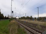 Langsamfahrt - 512er und 181er von SEL - Anklam - 04.10.2021