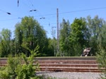 Vlexx-Triebzug bei der Ausfahrt aus dem Bahnhof Landsweiler Reden, 31.5.2021