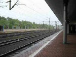 Eine Herkules Diesellok der OHE (Ost Hannoverschen Eisenbahn) mit Holzzug rollt in den Bahnhof Kassel Wilhelmshhe zum Signal Halt ein.