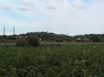 Frankreich, SNCF, Region Languedoc-Roussillon, Containerzug, gezogen von einer BB 27000 (1,5 kV Gleichstrom und 25 kV Wechselstrom), hier unter 1,5 kV Gleichstrom, zwischen Saint-Aunès und