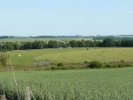 IR 118 kommt aus Richtung Troisvierges und fhrt in Richtung Lttich, aufgenommen in der Nhe der Belgischen Grenze am Abend des 30.06.08.