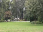 Zu den Feierlichkeiten anlässlich 50 Jahre WIG war mit der Lok Da2 der Liliputbahn im wiener Prater Ende August, Anfang September erstmals eine Dampflok auf der Donauparkbahn im Einsatz.