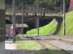 1116 216-3 mit dem RJ 169 (Zürich Hbf - Wien Hbf) und 1116 215-5 mit RJ 569 (Bregenz - Wien Hbf) fahren am 06.09.2016 durch Dalaas.