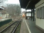Die Einfahrt des RB 5894 in den Bahnhof Forst (Lausitz) am 03.03.08 .