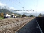 Ein Tm 234 fhrt bei Steinen Richtung Arth-Goldau
