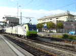 Doppeltraktion BLS 485 008 & 485 009 bei der Ausfahrt aus Spiez in Richtung Ltschberg mit einem Autozug mit Neuwagen.