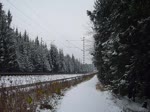 421 389-8 mit einem Containerzug zu sehen in Drochaus/V. im ersten Schnee in diesem Winter am 02.12.14. 
