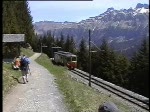 Berner Oberland 2004 (VHS-Archiv) - Ein wanderweg frt von Grtschalp bis nach Mrren immer unmittelbar an der Bahnlinie entlang.
