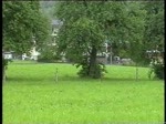 Berner Oberland 2004 (VHS-Archiv) - Bei Giswil ist am 31.05.2004 eine hier selten anzutreffende Garnitur der Luzern-Stans-Engelberg Bahn auf der Brnigbahn unterwegs.