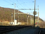 InterRegio nach Frick-Basel SBB in Schinznach Dorf, geschoben wird er von einer Re 460. 24.2.08