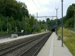 Da kommt der TGV aus Zürich bei Mellingen angerauscht, natürlich pünktlich.
