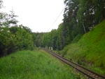 534 0323 zu sehen am 20.06.15 bei Luzna.