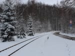 810 666 als Os 17242 zu sehen am 28.02.20 in Aš město.