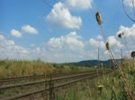 3.9.2011 14:07 ČD 242 243-1 mit einem Personenzug (Os) aus Karlovy Vary nach Cheb zwischen dem Bahnhof Kynperk nad Ohř und der Haltestelle Nebanice.