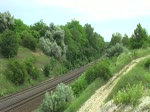 480 018 + 1116 063 mit D 9202 von Budapest Keleti pu nach Szombathely am 09.06.2012 bei Szr.
