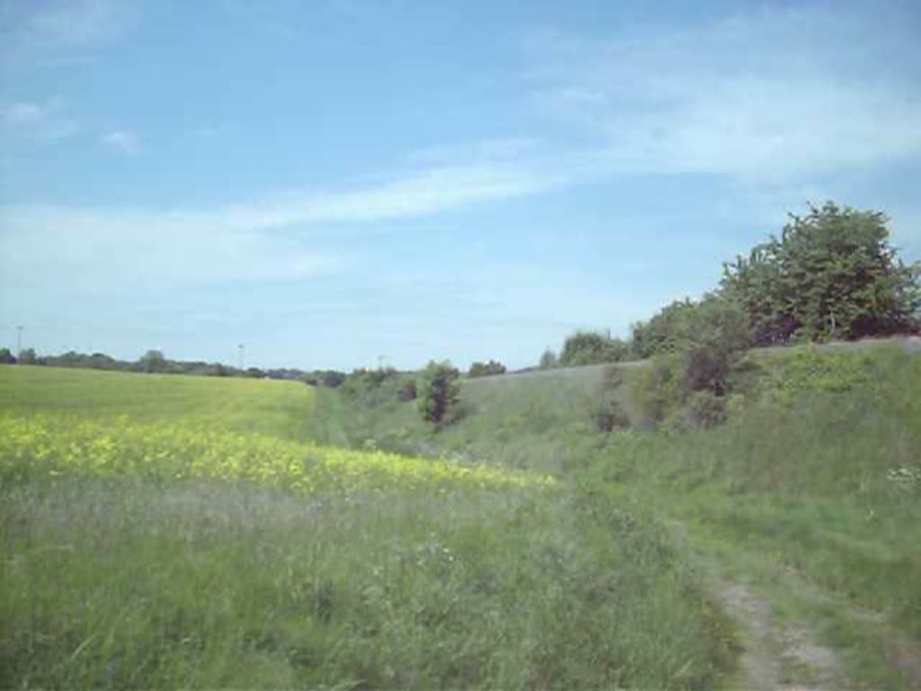 Triebwagen aus Mansfeld. 24.05.09