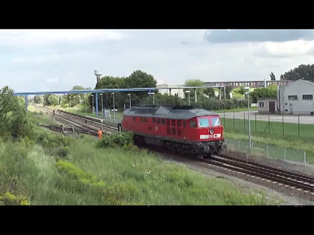 Umsetzen von Leerwagen aufs Hauptgleis,mit der Lok 233 288-0 und Abfahrt des Zuges nach Pasewalk. – 
02.08.2012 