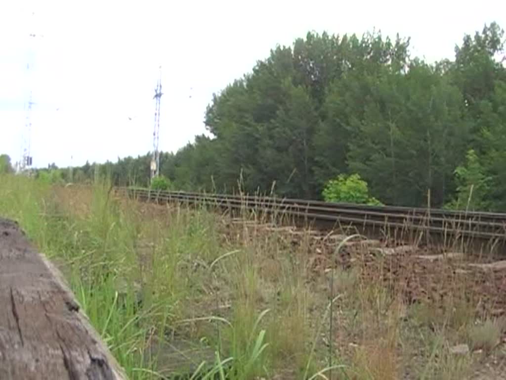 Video der 185 063-5 mit einem Gterzug in der Berliner Wuhlheide, 12.6.2010