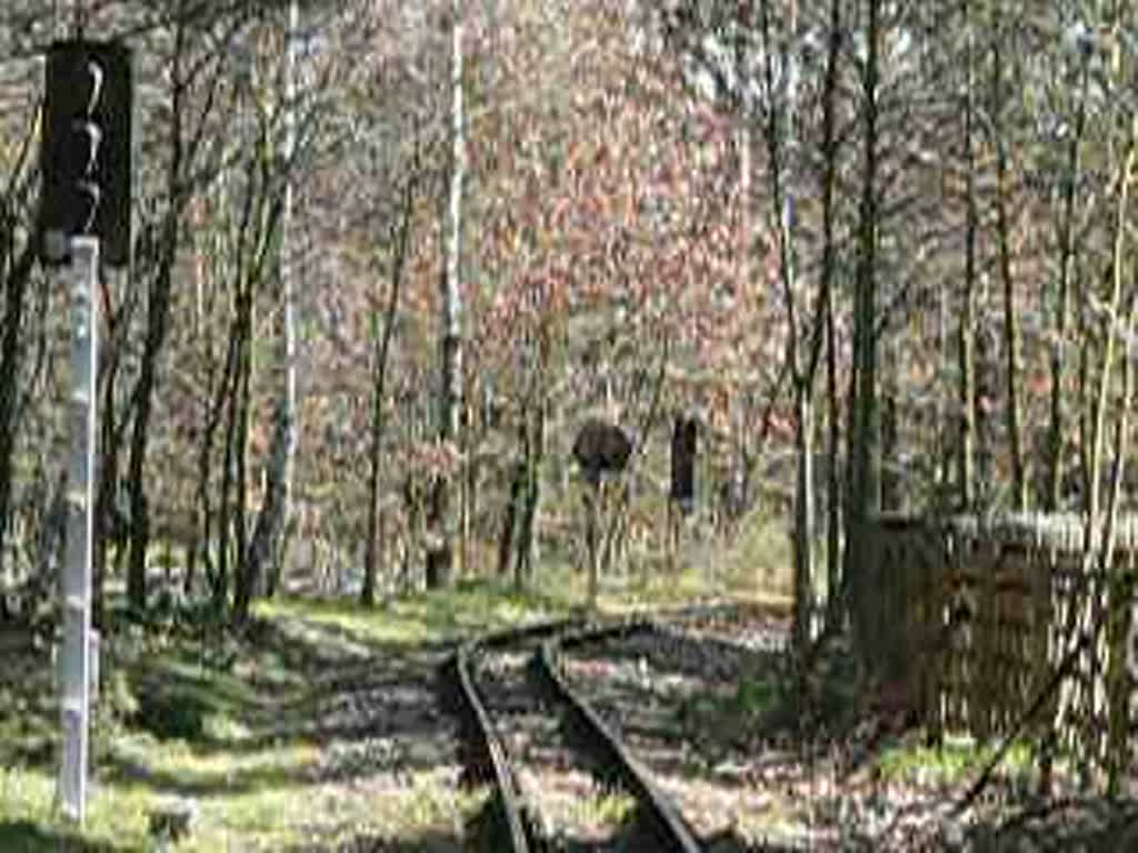 Zug der Berliner Parkeisenbahn kurz vor der Station Badesee. 7.4.2007