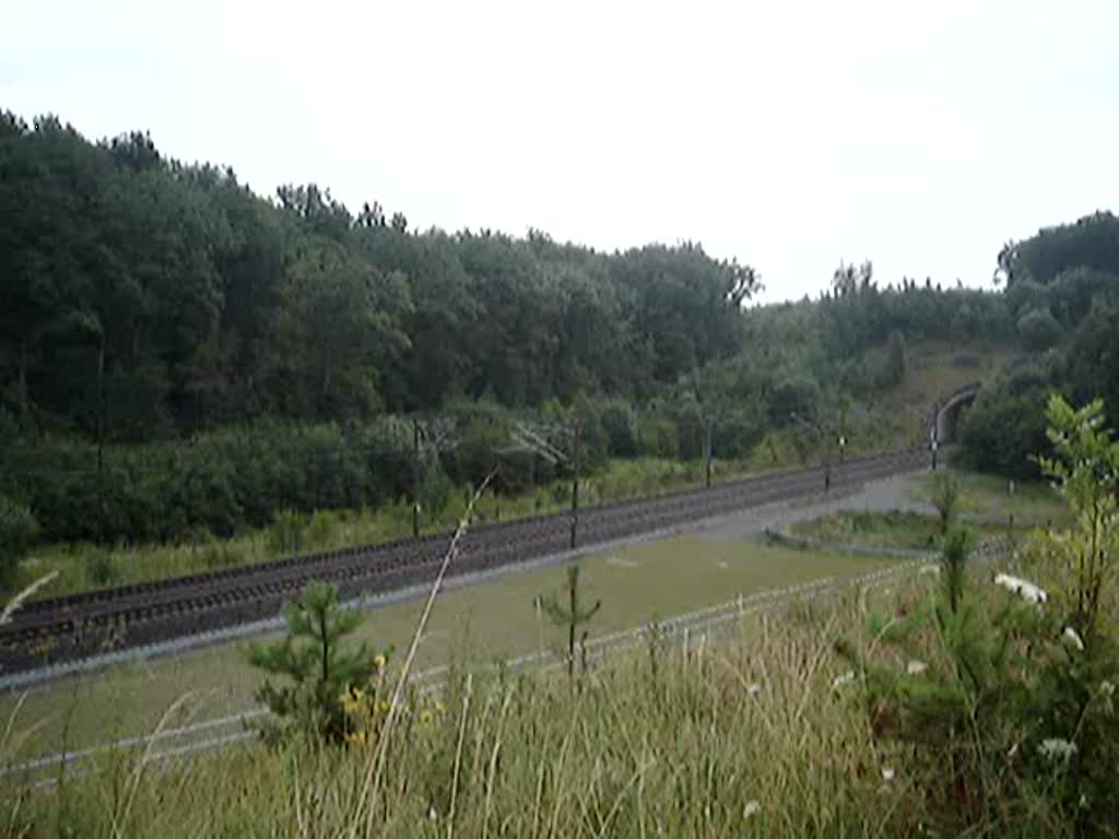 Zwei ICE-3 Zge fahren mit rund 250km/h auf der SFS Stuttgart-Mannheim. Der Zug kam aus Mnchen Hbf. der nchste Halt ist Mannheim. Aufgenommen am 23.Juli 2007